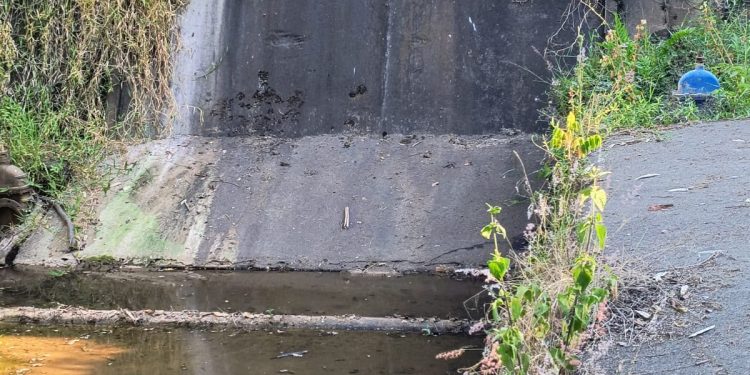 SAAE alerta a população sobre o uso consciente da água